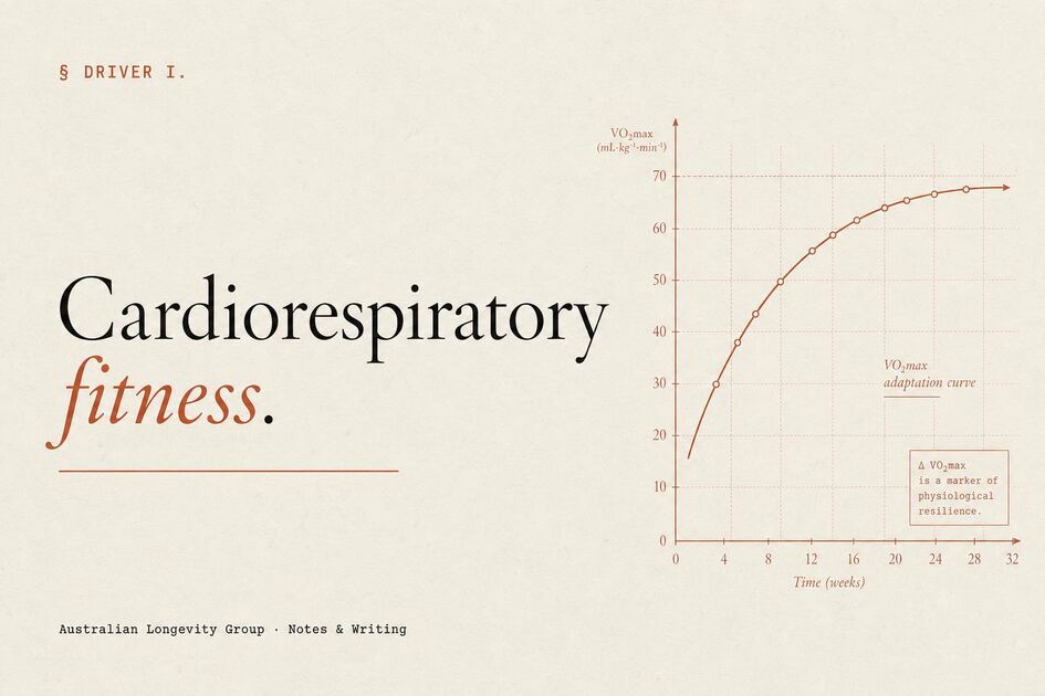 VO₂ Max & Cardio Fitness — Australian Longevity Group