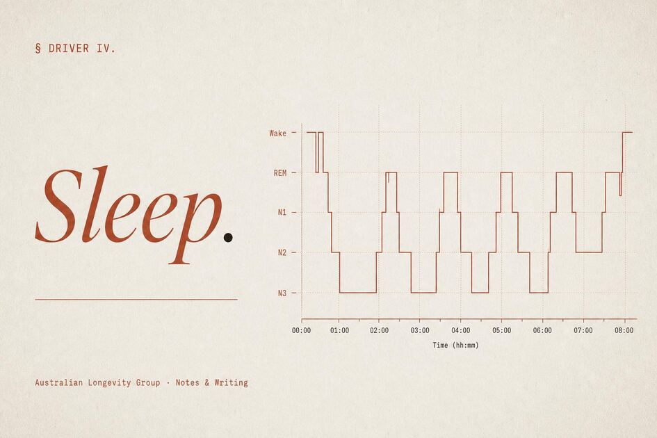 Sleep & Longevity — Australian Longevity Group